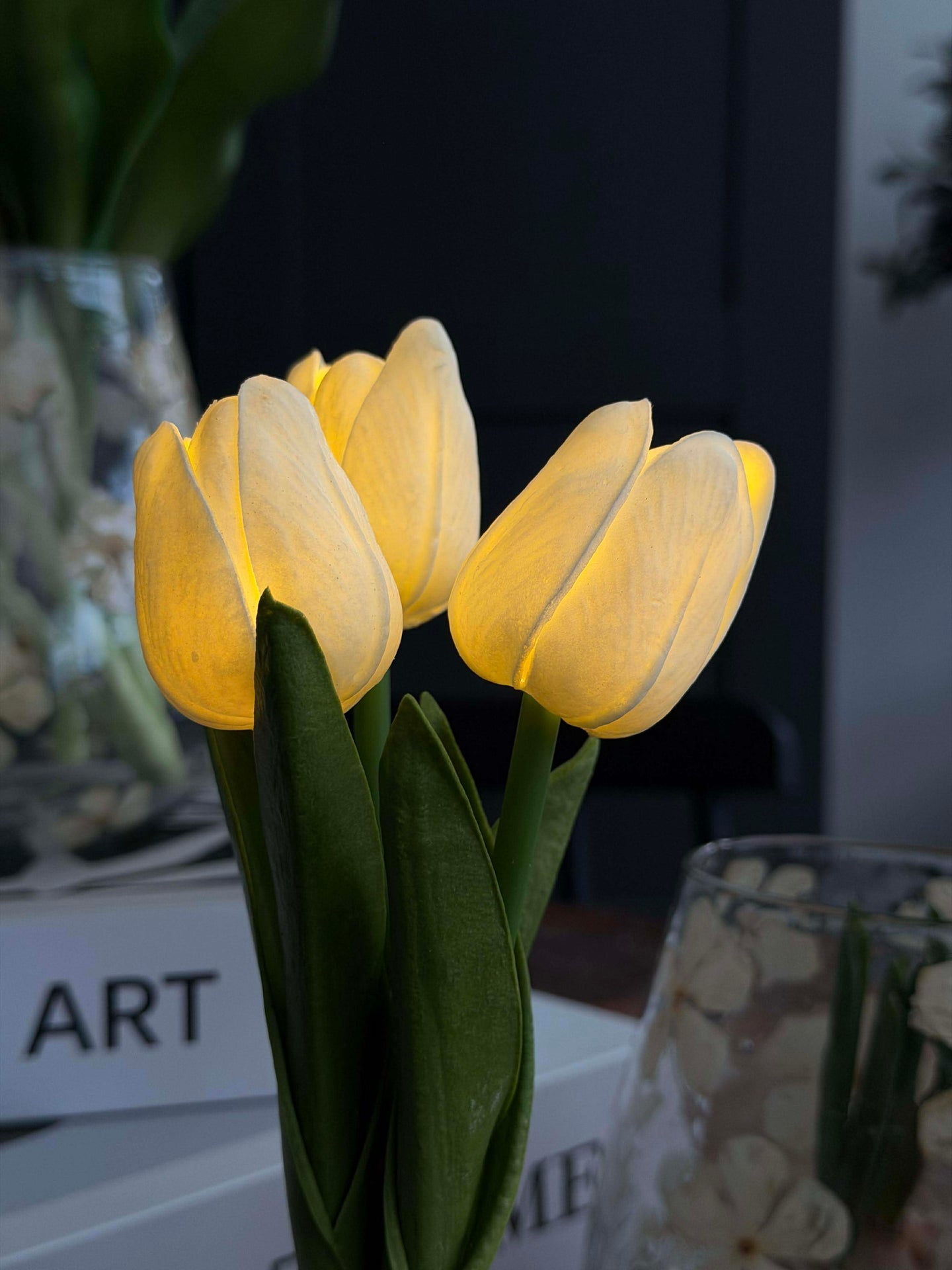 Tulpen mit Licht - Weiß