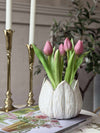 Tulpe im Topf - Dunkelrosa