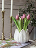 Tulpe im Topf - Dunkelrosa