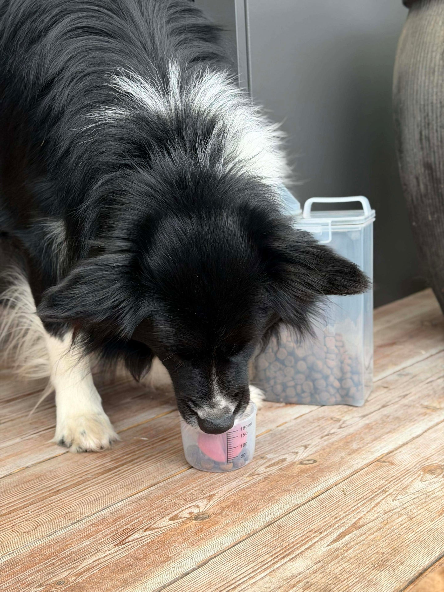 Behälter mit Messbecher für Tierfutter