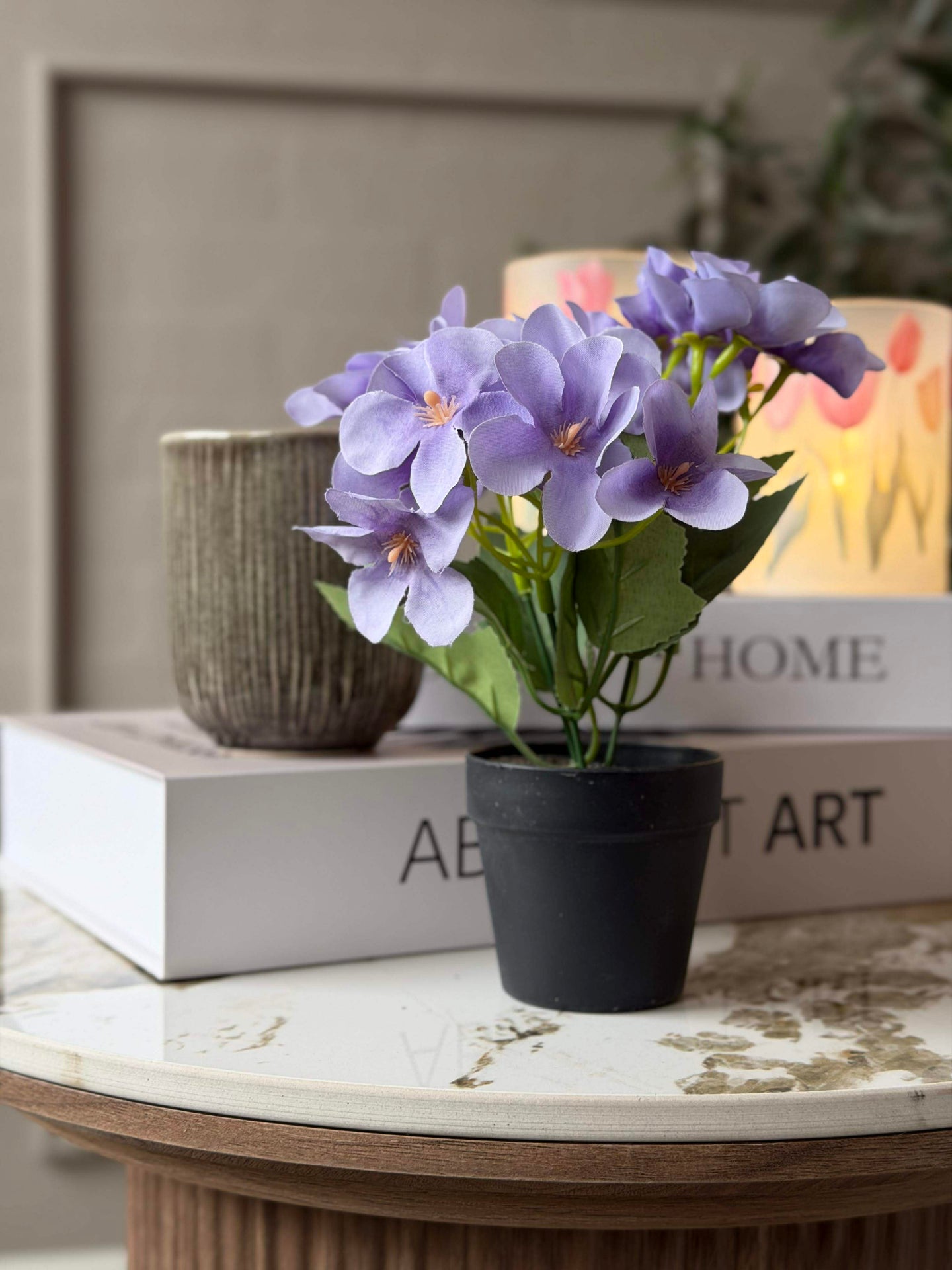 Mini-Hortensie im Topf - mehrere Farben