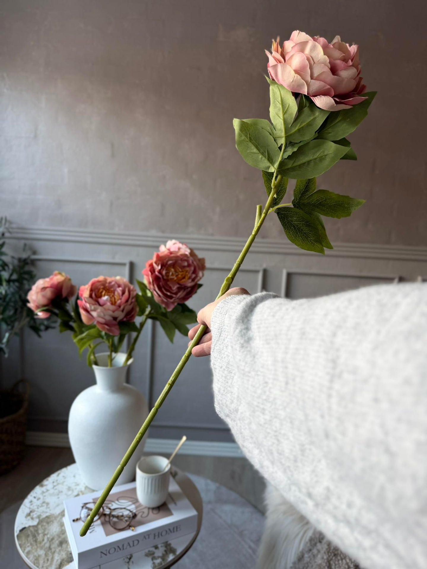Pfingstrose Rosa