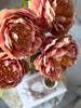 Pfingstrose Rosa