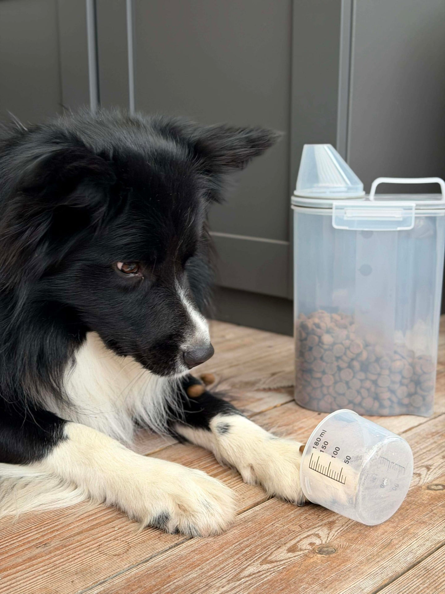 Behälter mit Messbecher für Tierfutter
