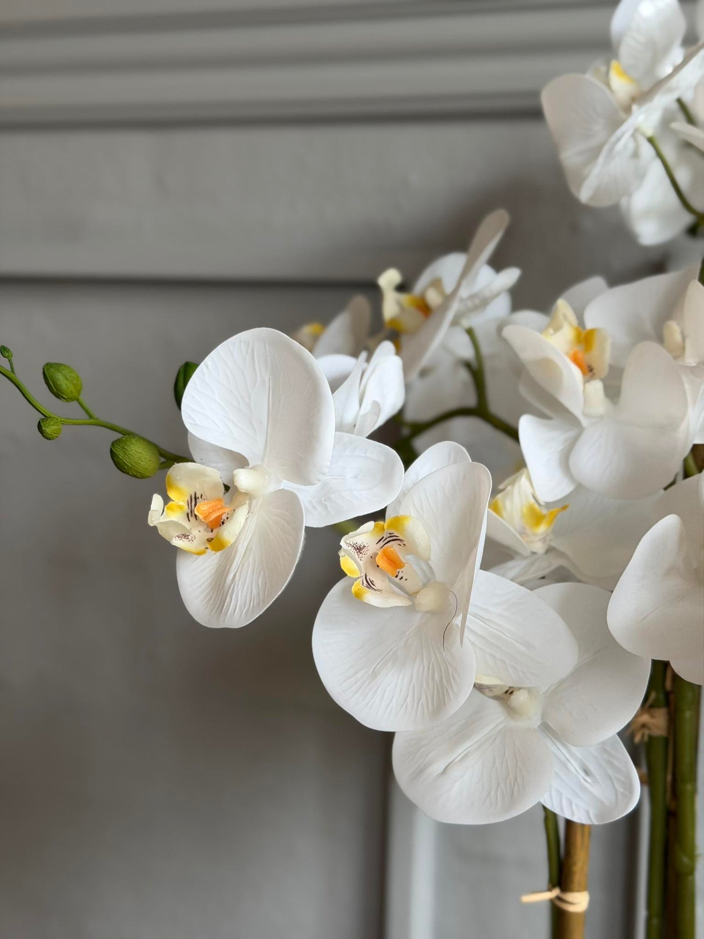 Orchidee im Topf 65 cm - Weiß