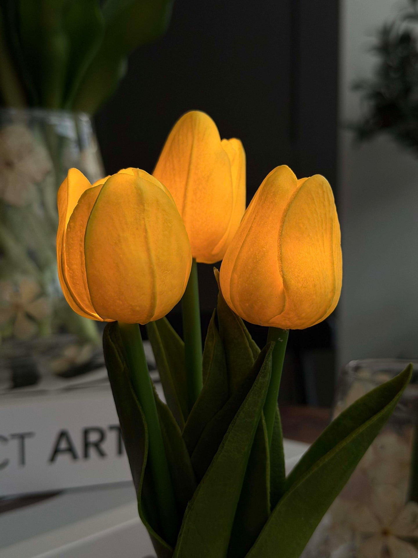 Tulpen mit Licht - Gelb