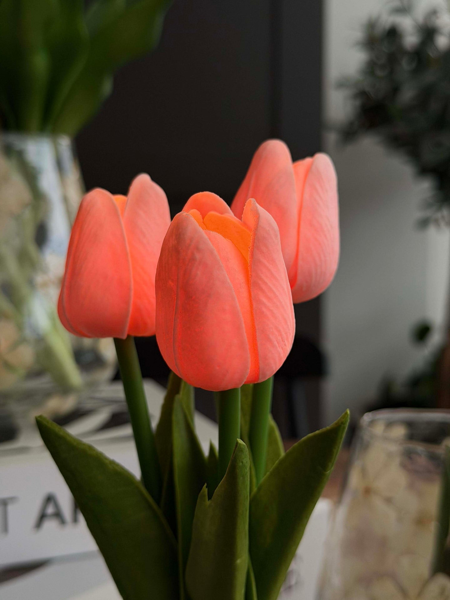 Tulpen mit Licht - Rosa