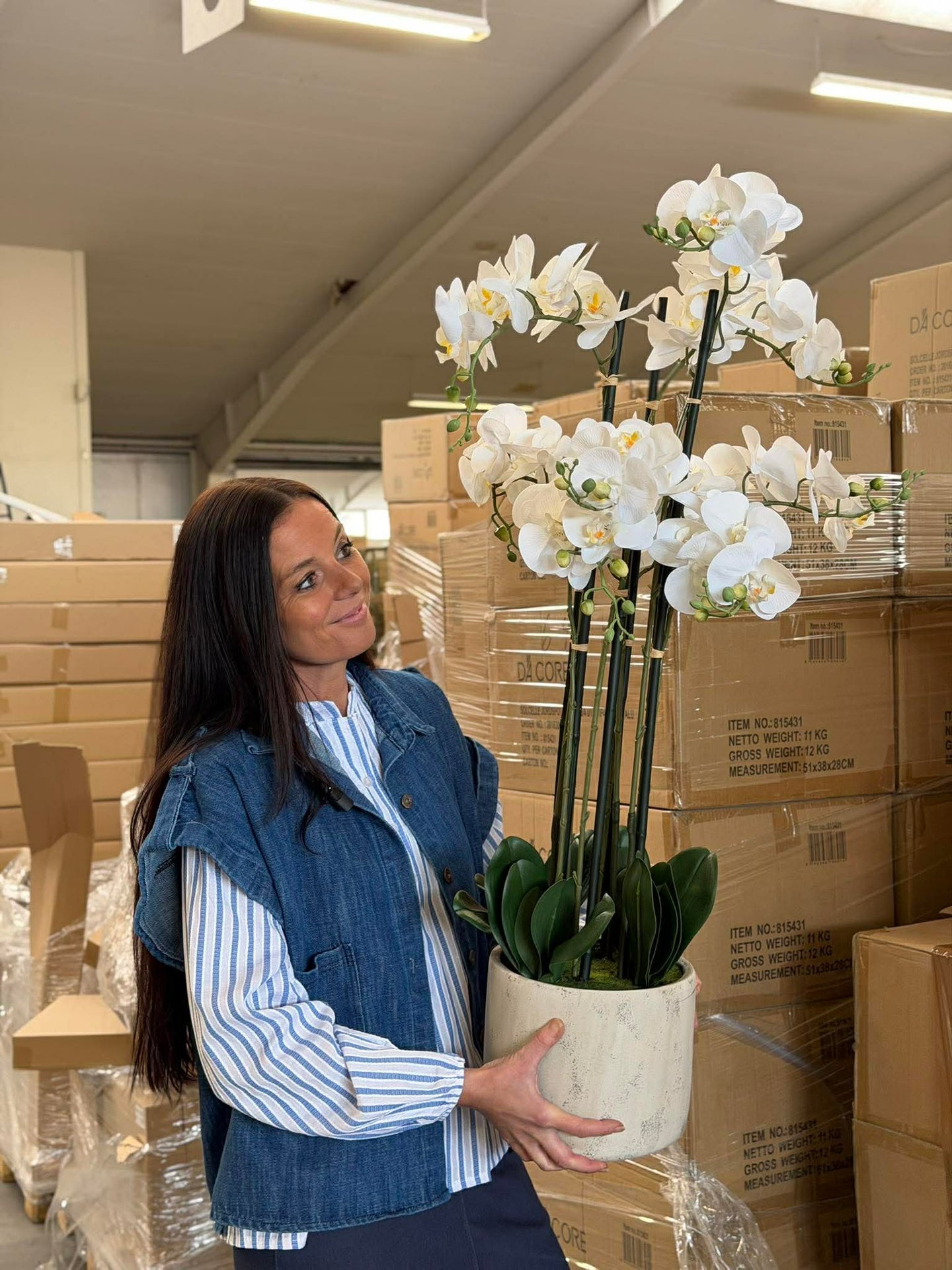 Orchidee im Topf 105 cm - Weiß