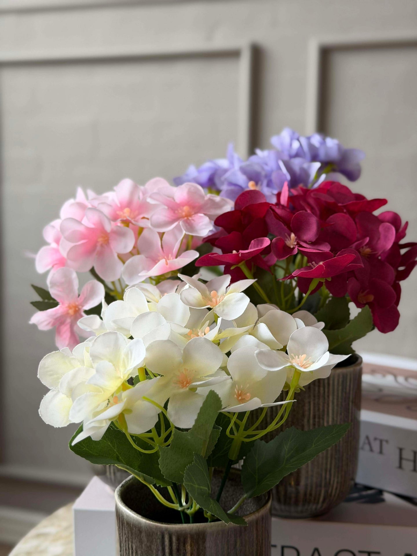 Mini-Hortensie im Topf - mehrere Farben