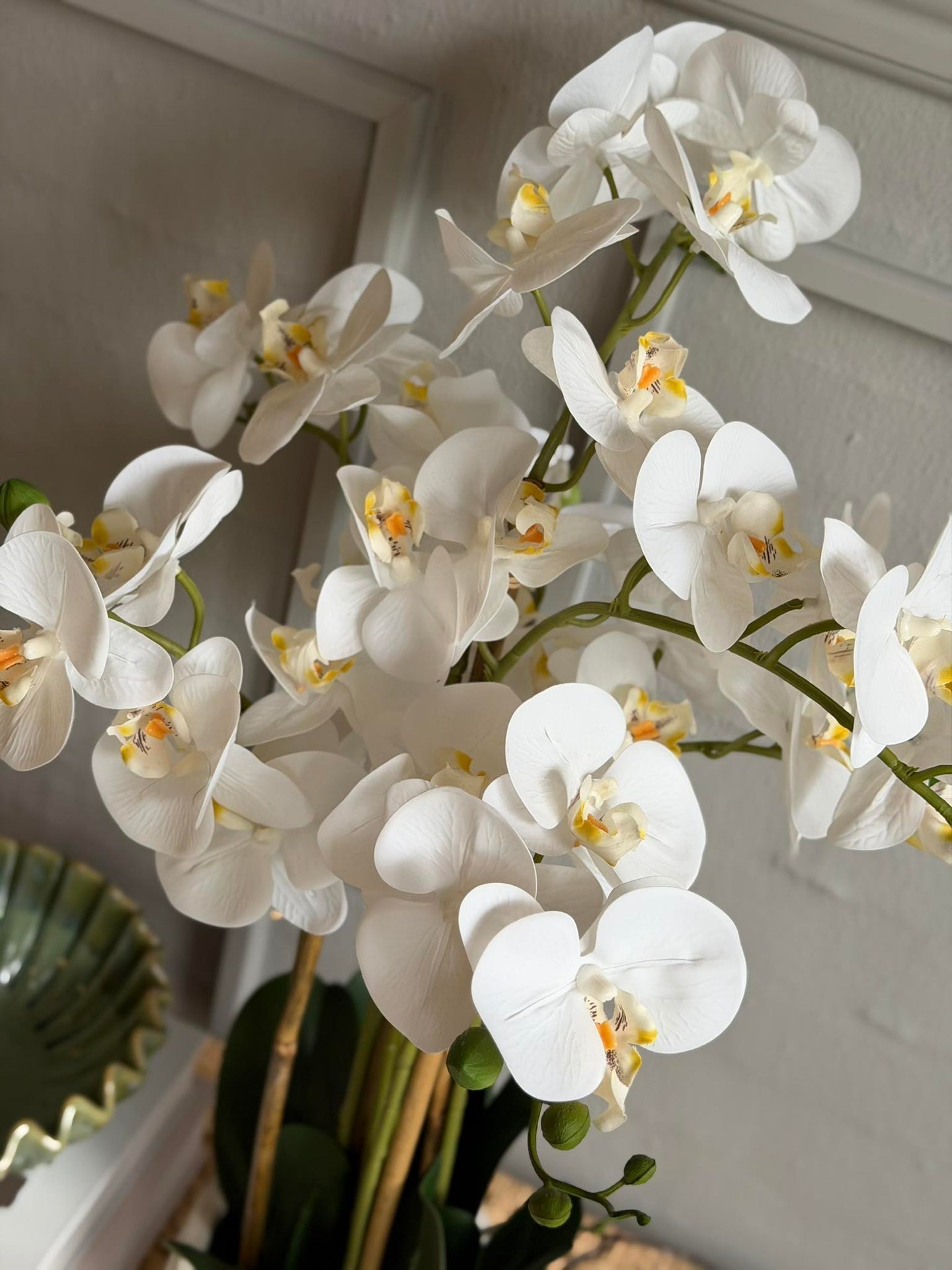 Orchidee im Topf 65 cm - Weiß