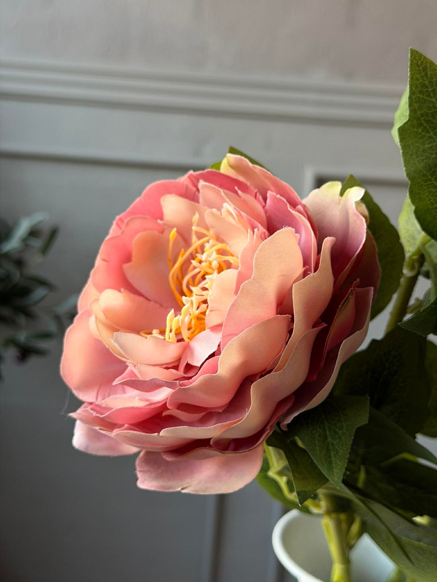 Pfingstrose Rosa
