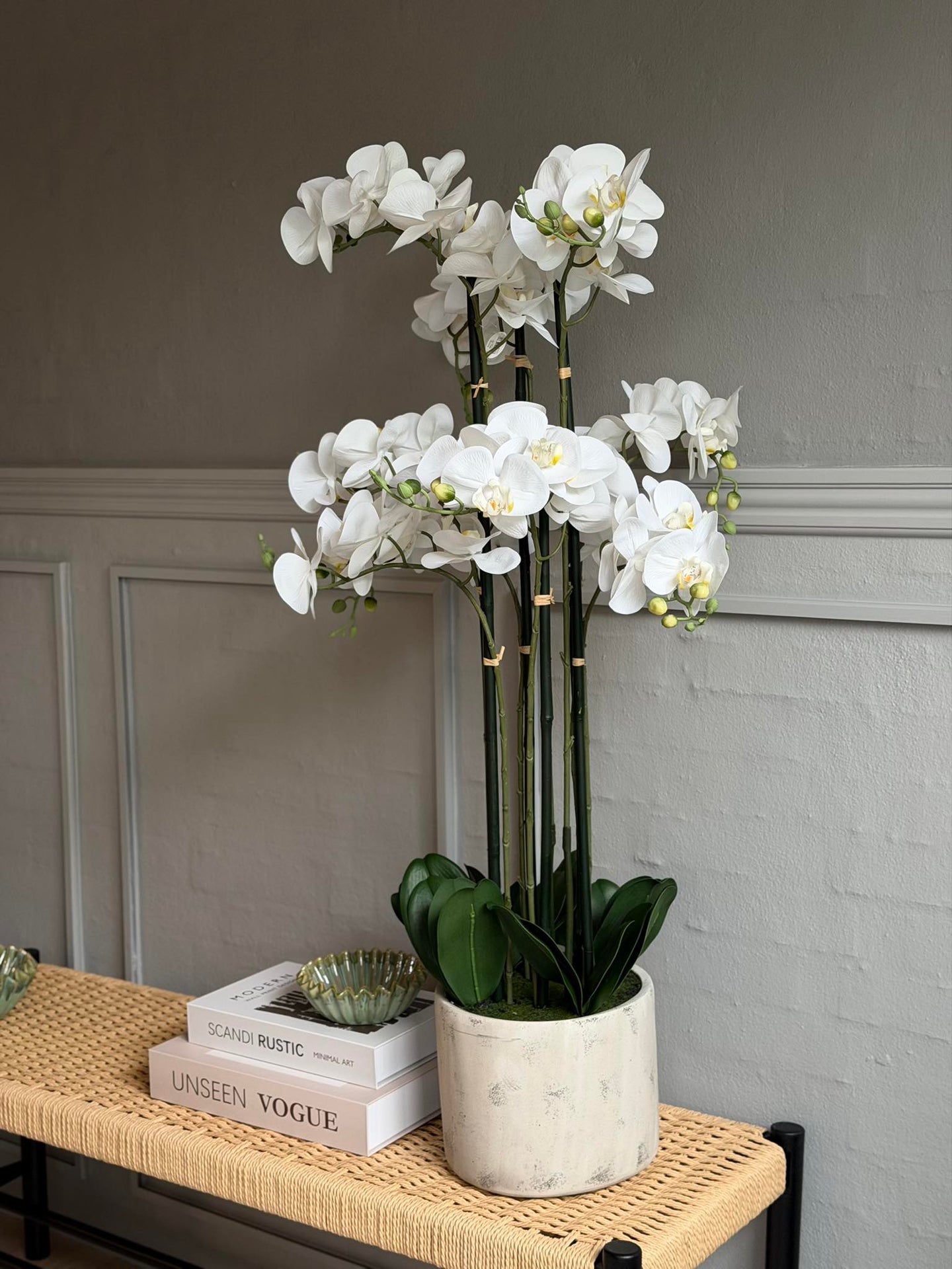Orchidee im Topf 105 cm - Weiß