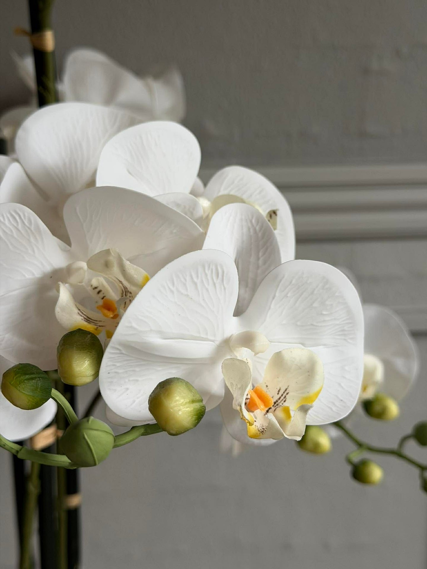 Orchidee im Topf 105 cm - Weiß
