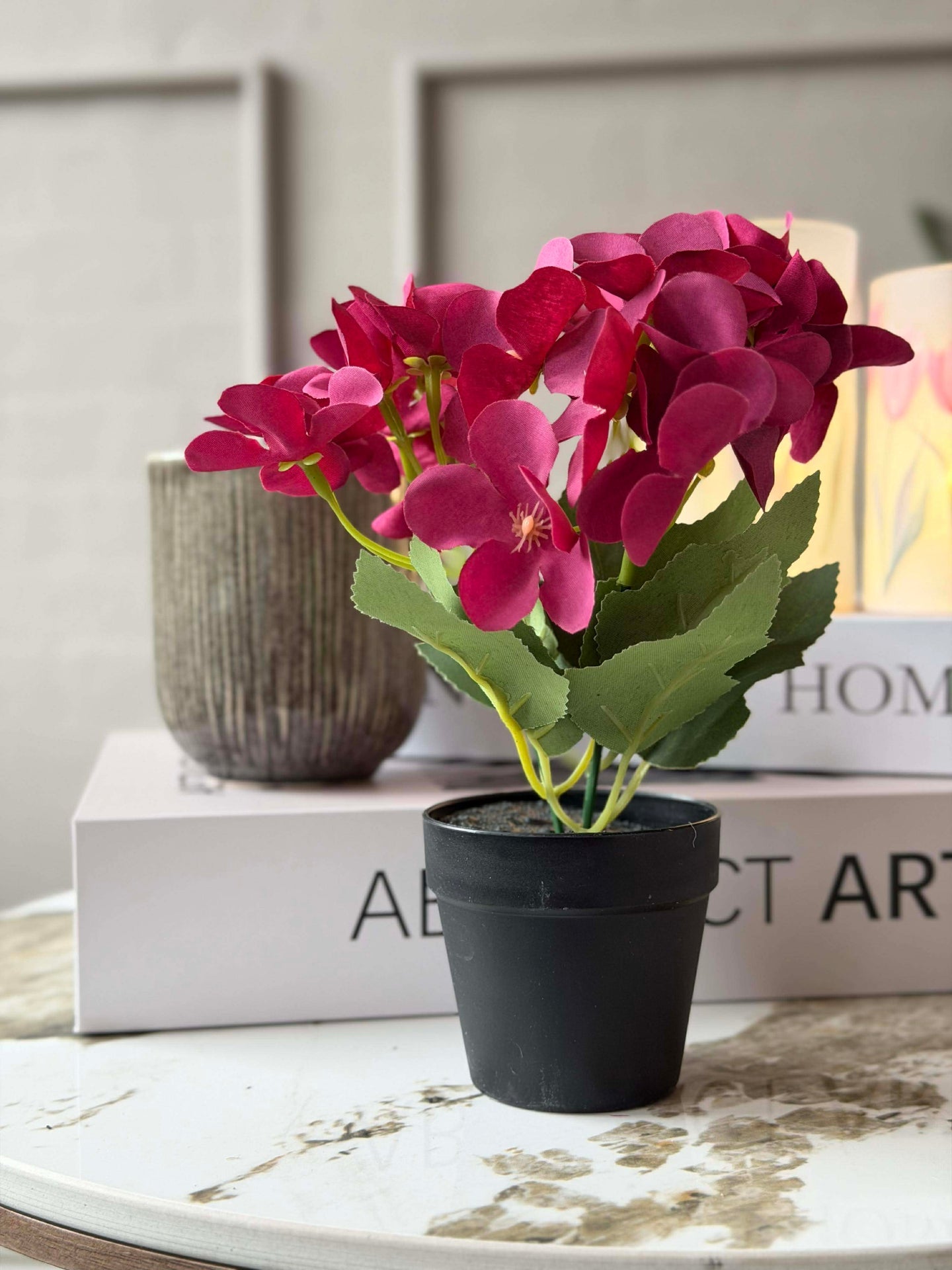 Mini-Hortensie im Topf - mehrere Farben