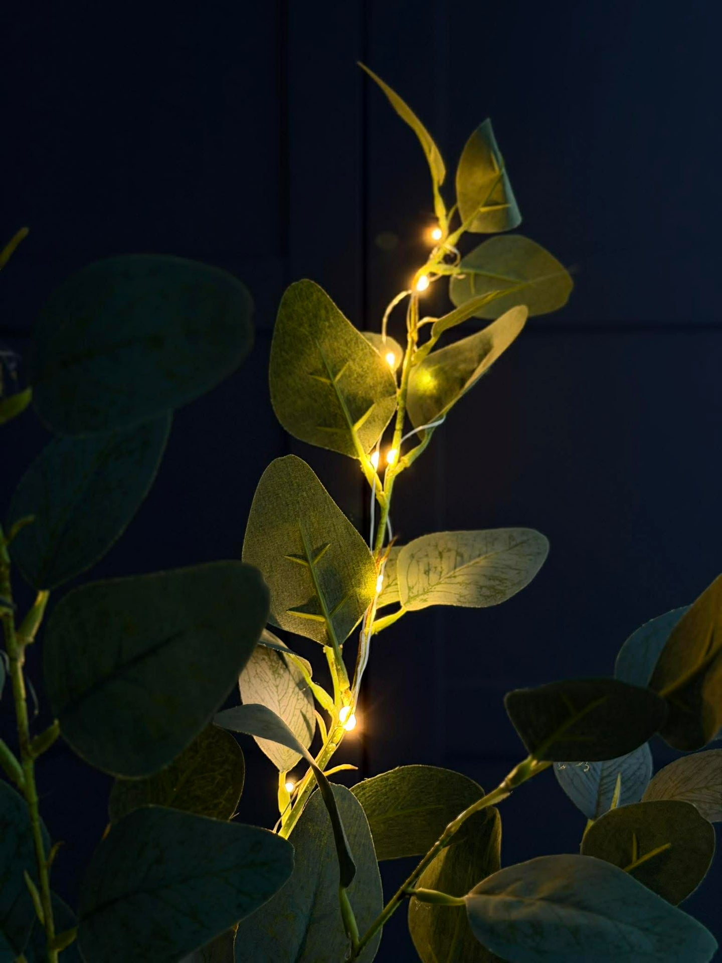 Eukalyptuszweig mit Licht - 100 cm