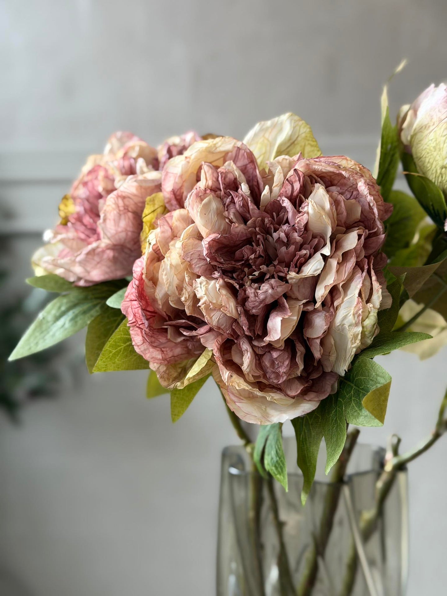Blume Pfingstrose - Antik Creme / Rosa