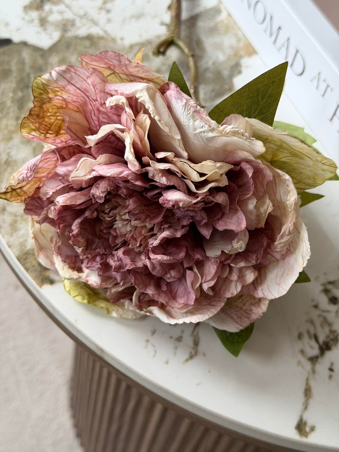 Blume Pfingstrose - Antik Creme / Rosa