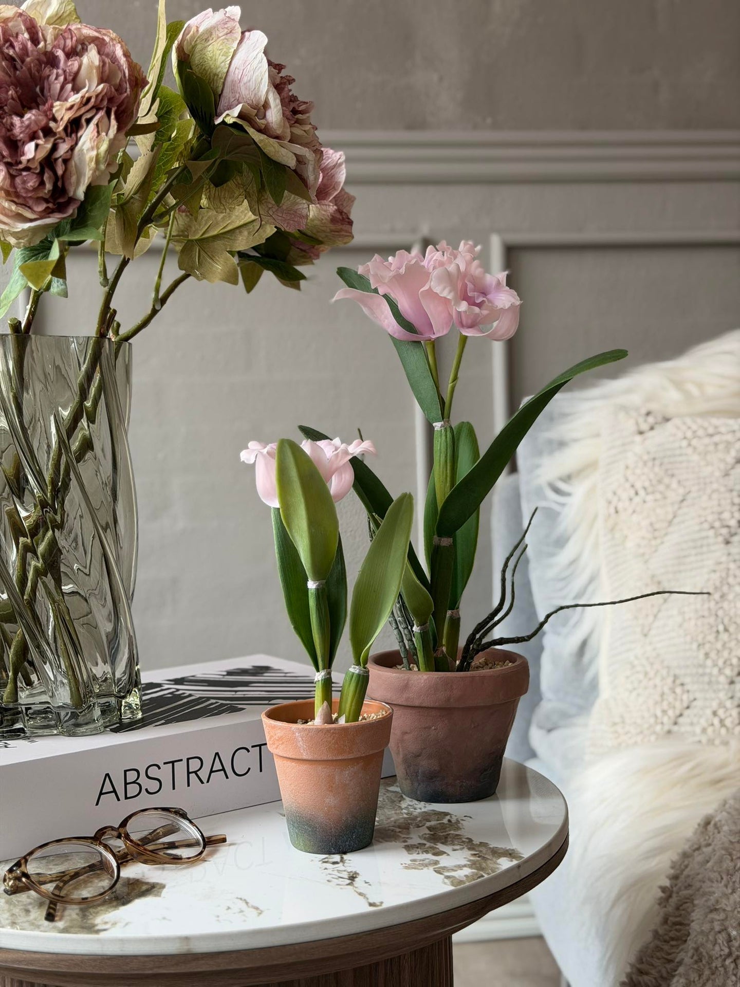 Orchidee im Topf Rosa - Verschiedene Größen