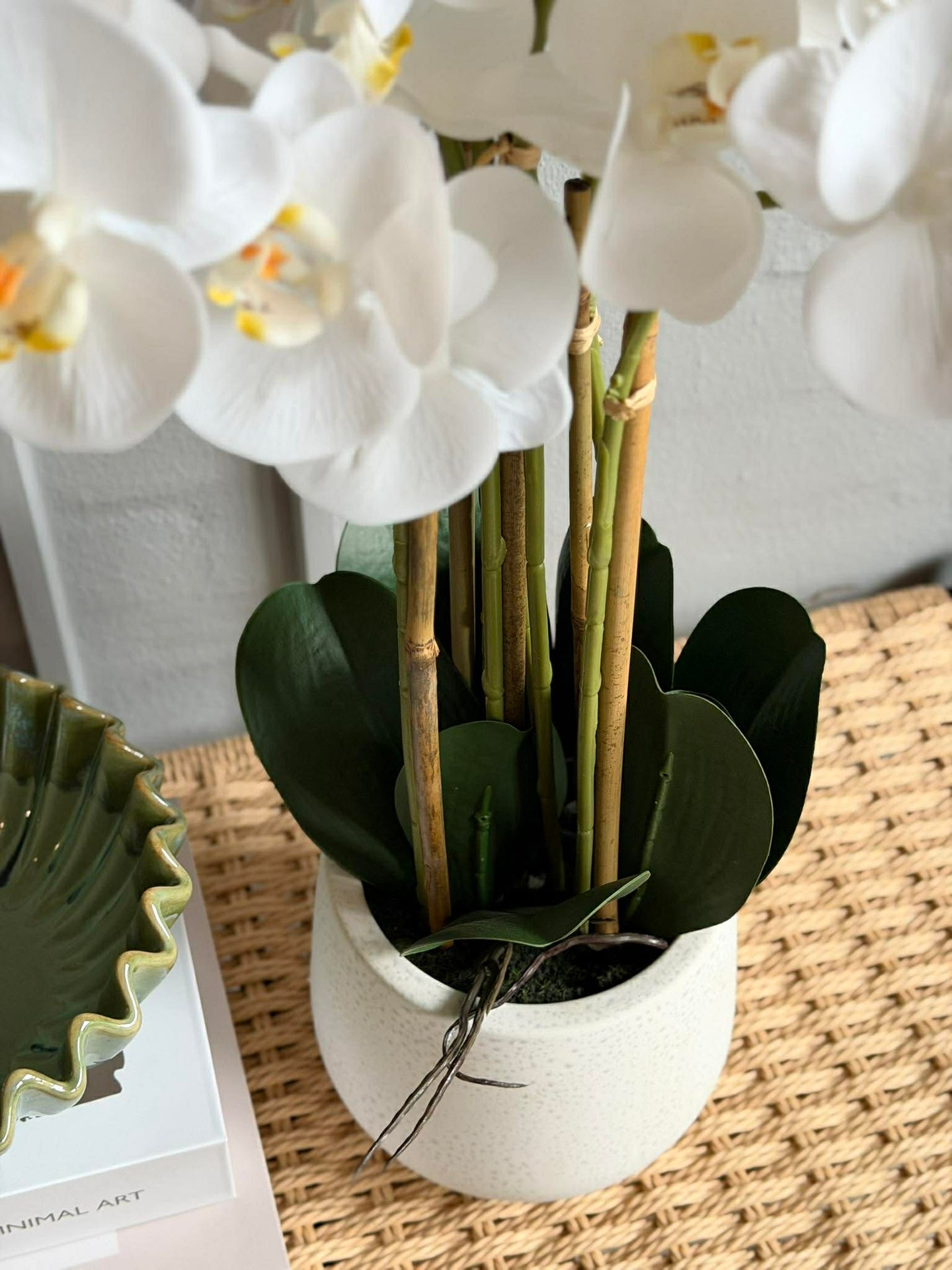 Orchidee im Topf 65 cm - Weiß