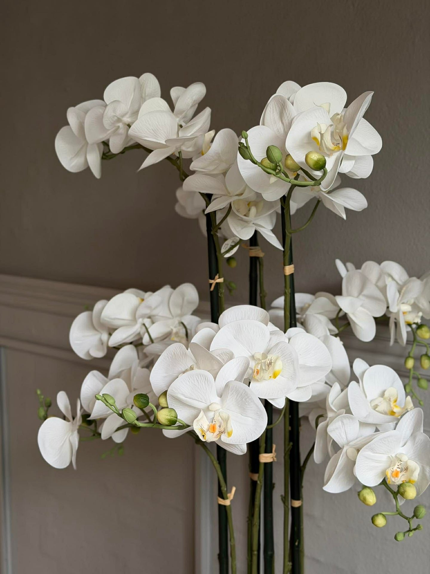 Orchidee im Topf 105 cm - Weiß