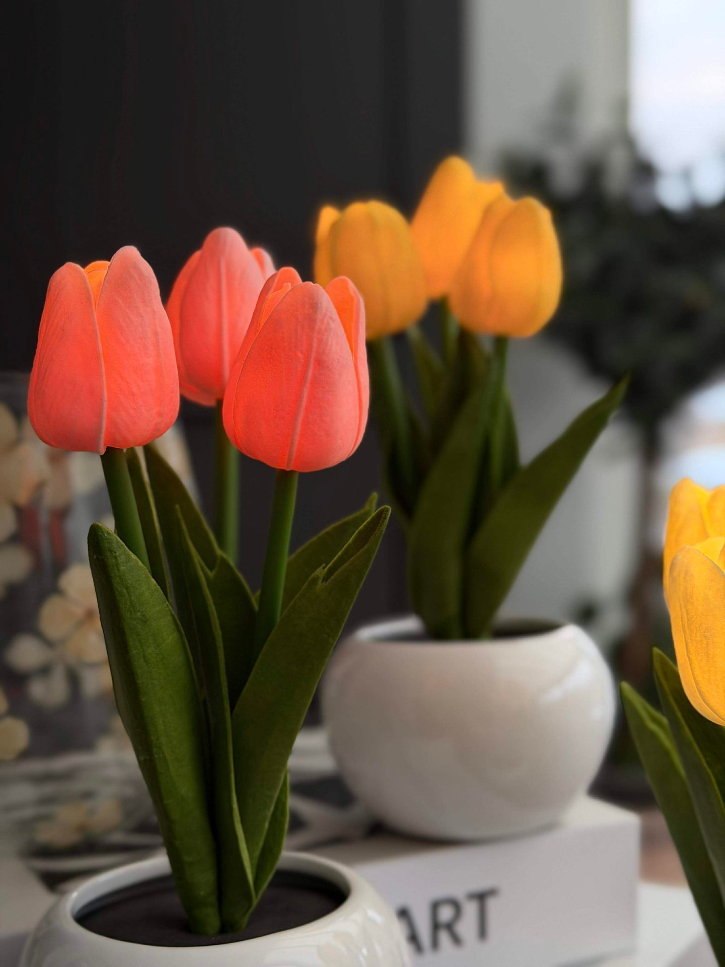Tulpen mit Licht - Rosa