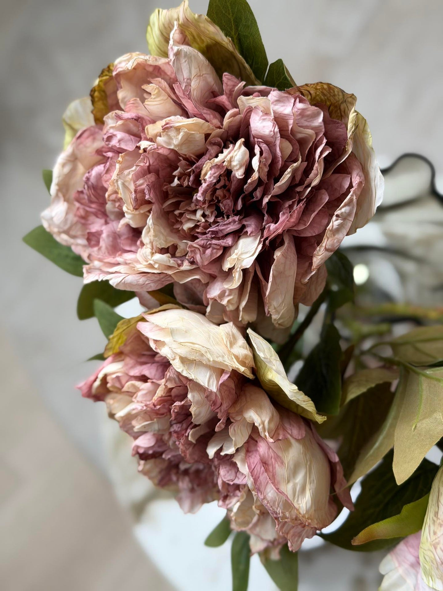 Blume Pfingstrose - Antik Creme / Rosa