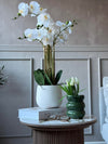 Orchidee im Topf 65 cm - Weiß