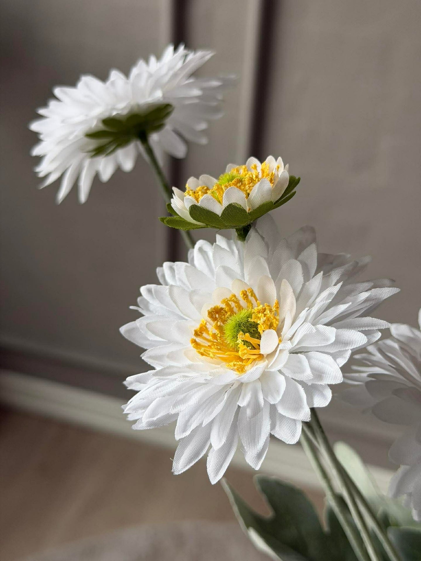 Margeritenstiel 60 cm - Weiß