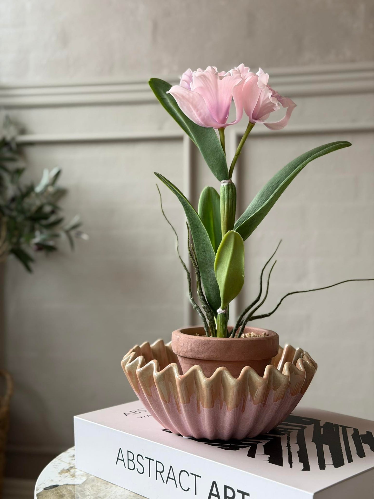 Orchidee im Topf Rosa - Verschiedene Größen