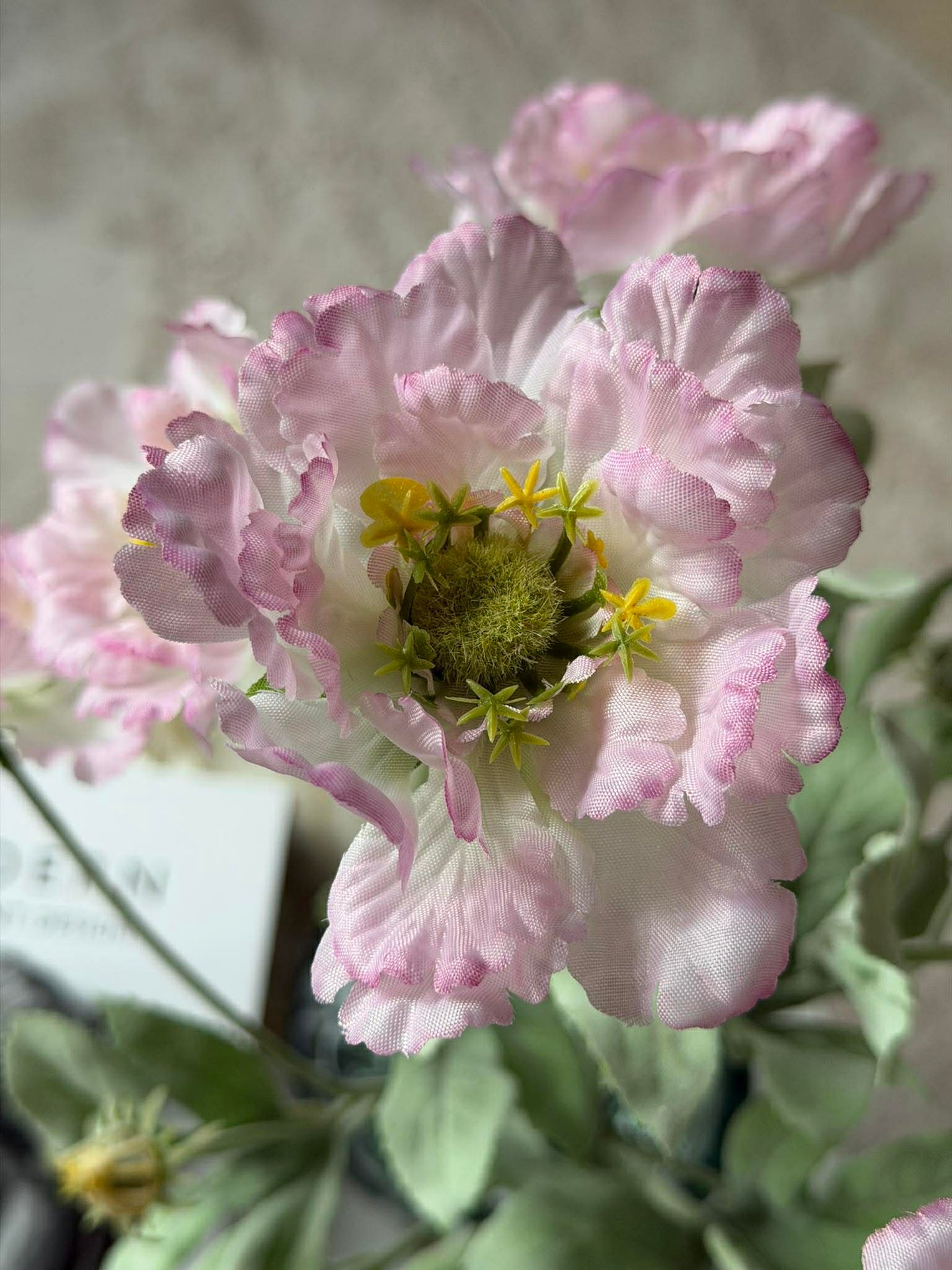 Mohnstiel 62 cm - Rosa