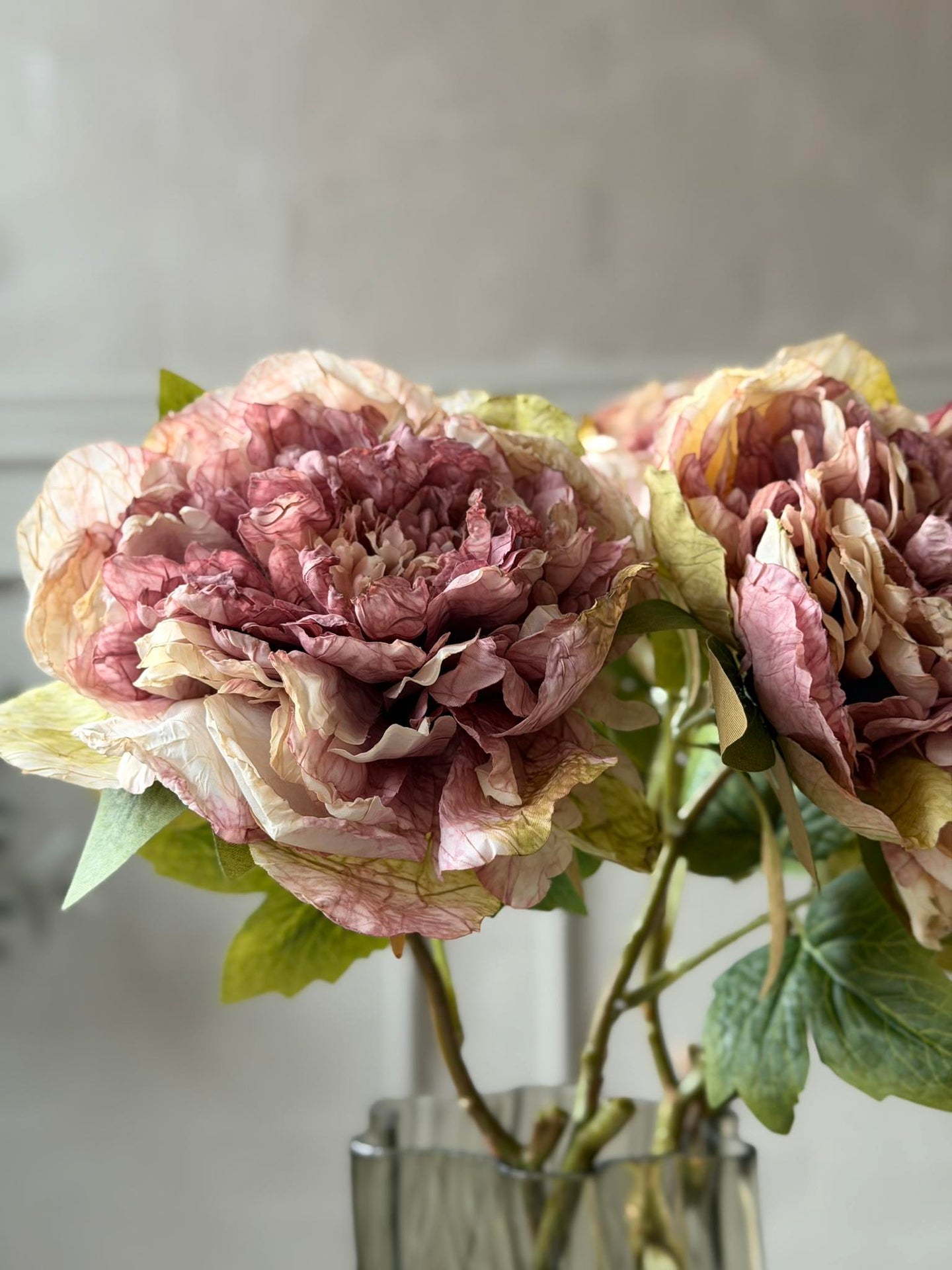 Blume Pfingstrose - Antik Creme / Rosa