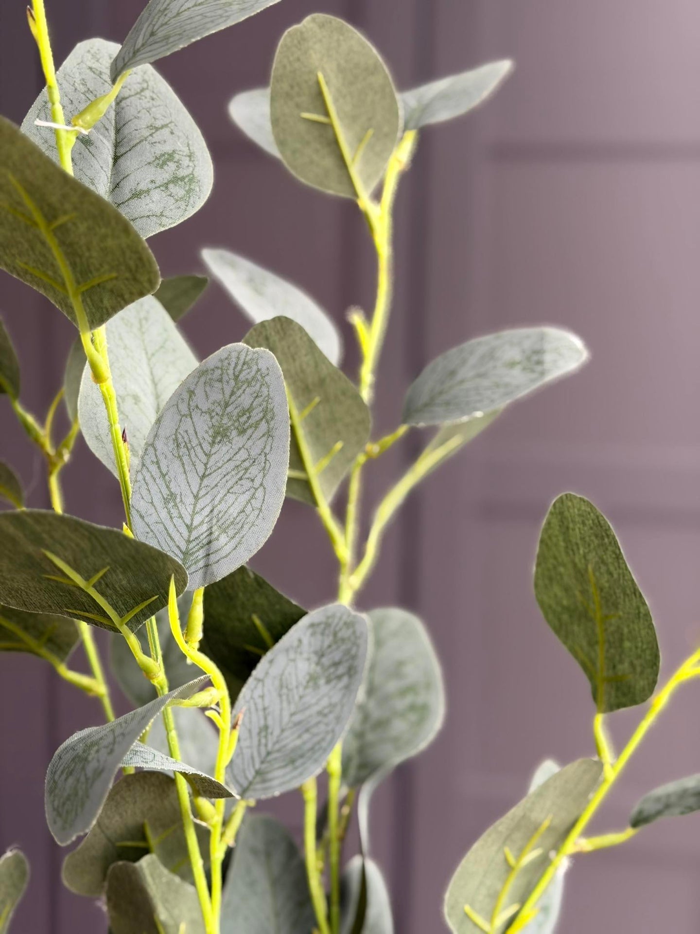 Eukalyptuszweig - 100 cm (eucalyptus gren)