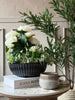 Schale im Beton-Look - Stone