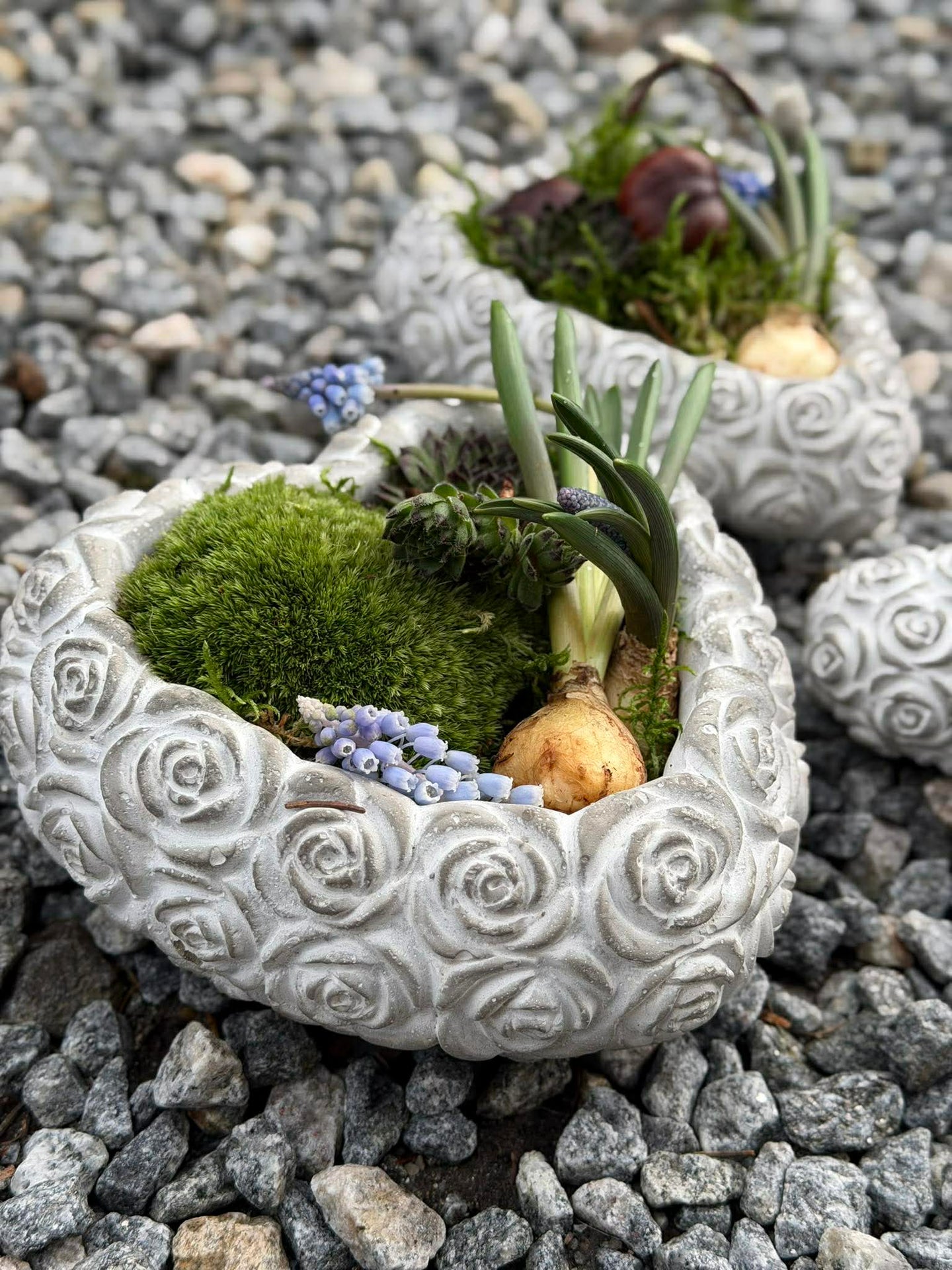 Herz mit Rosen - Verschiedene Größen