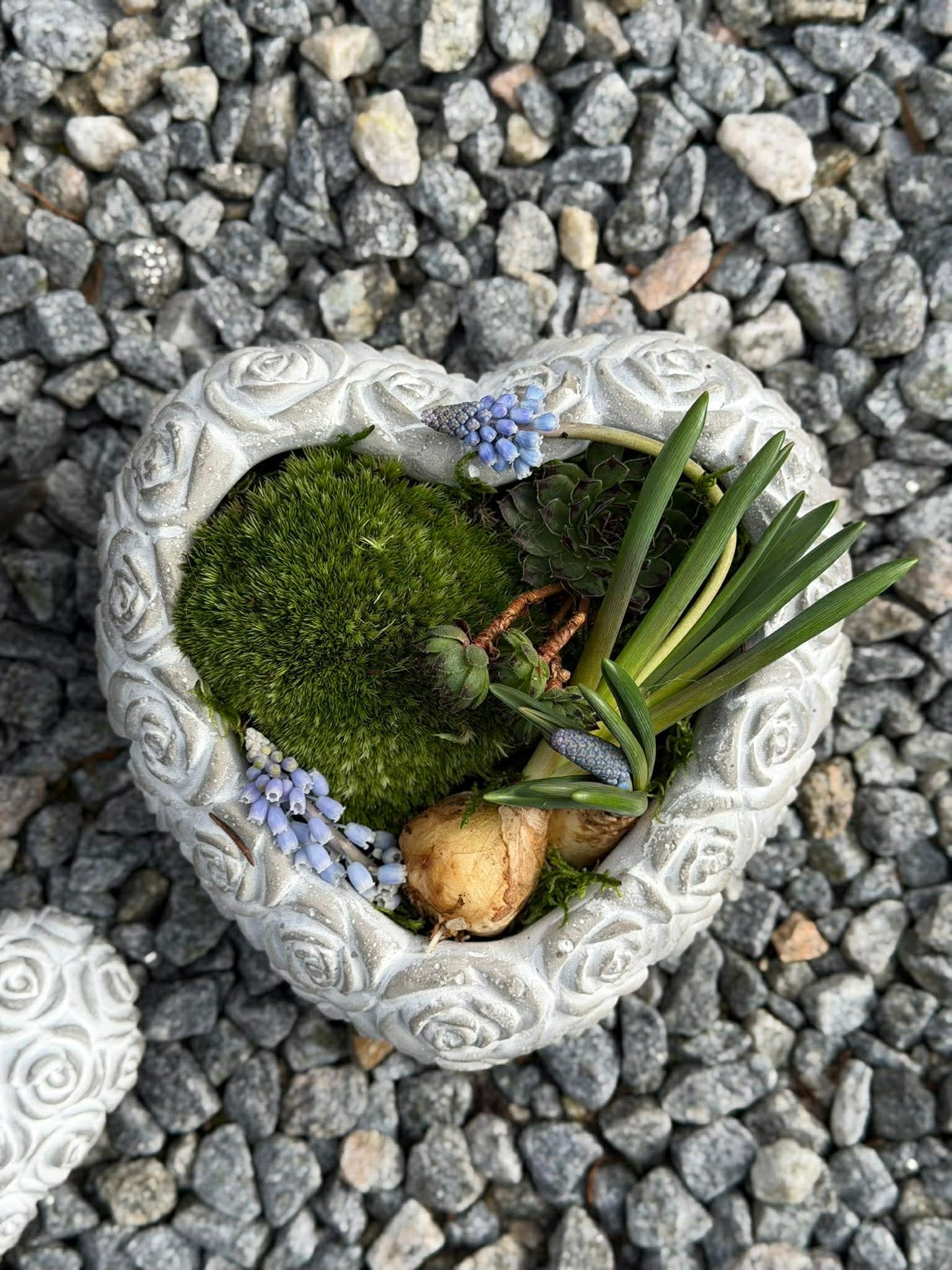 Herz mit Rosen - Verschiedene Größen