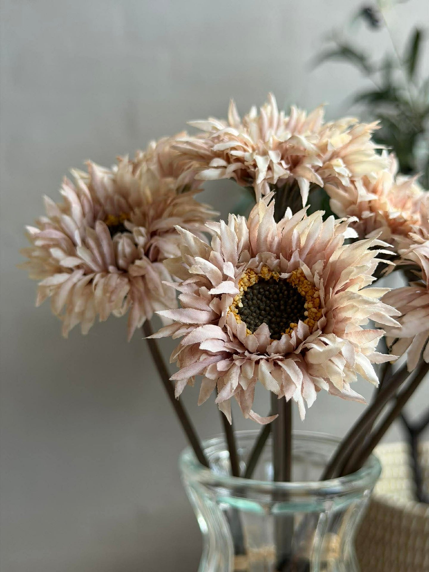 Gerbera 3 St.