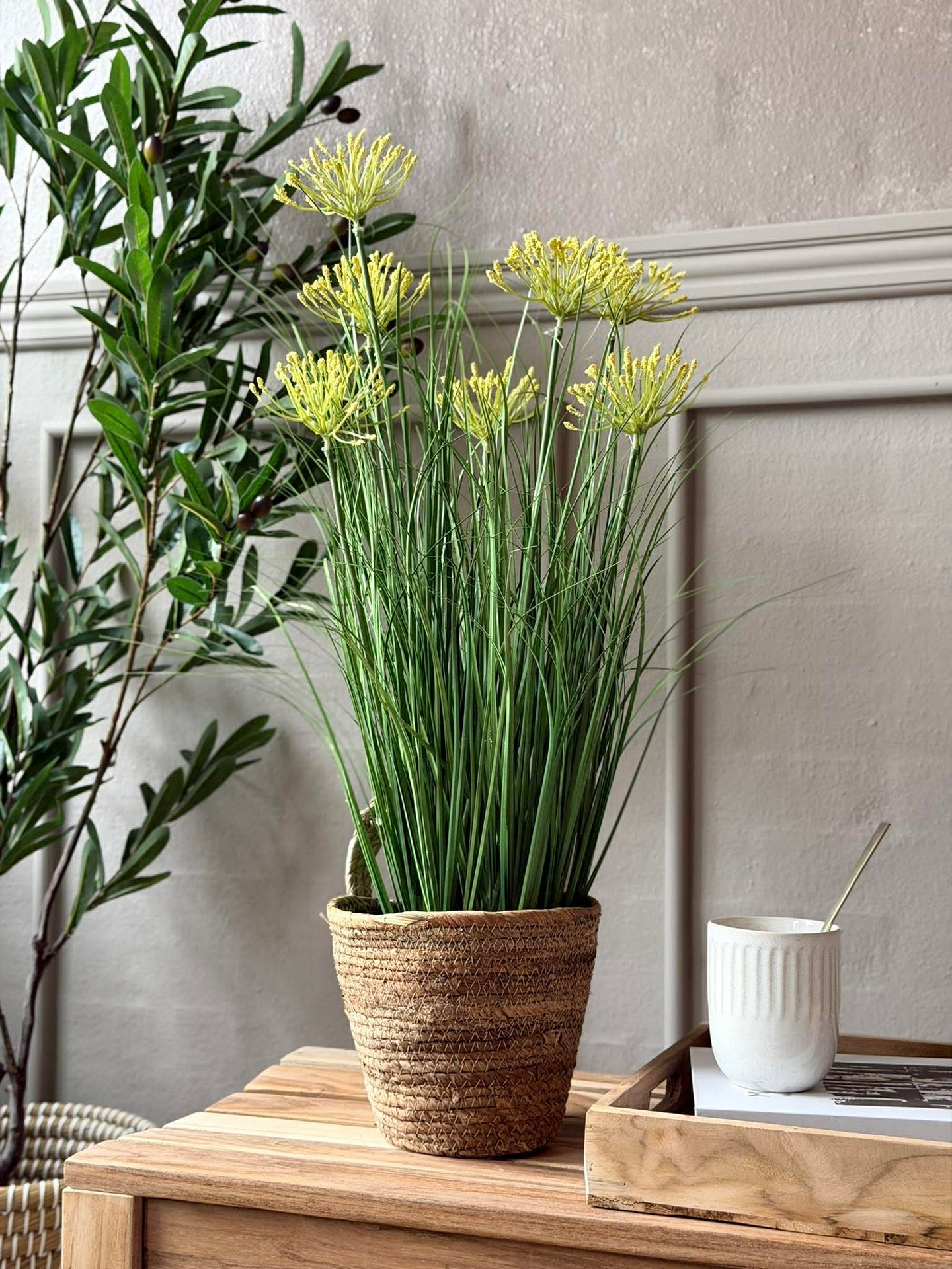 Weiße lupim im Topf für drinnen und draußen - 60 cm