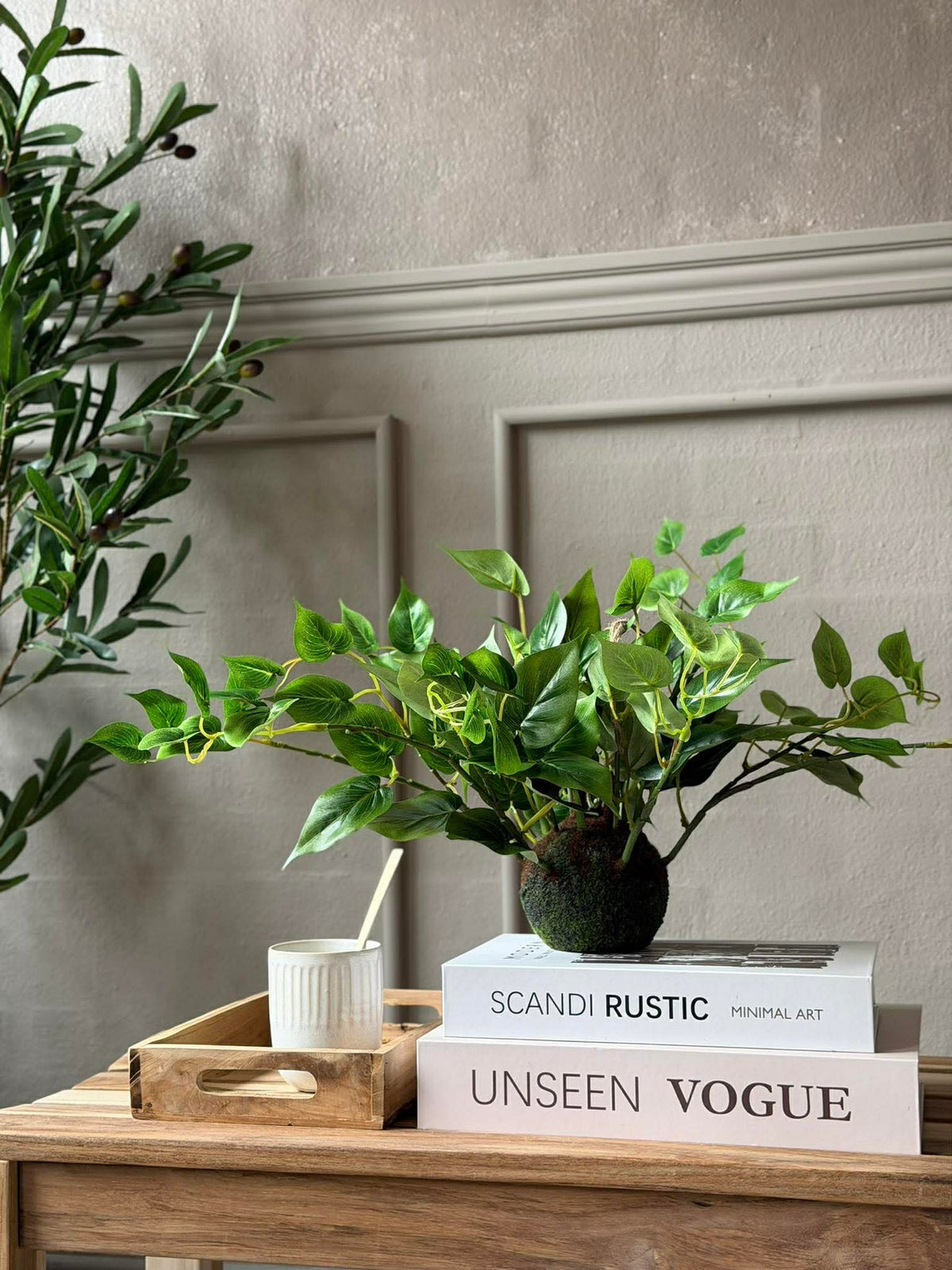 Hängepflanze Herz-Philodendron