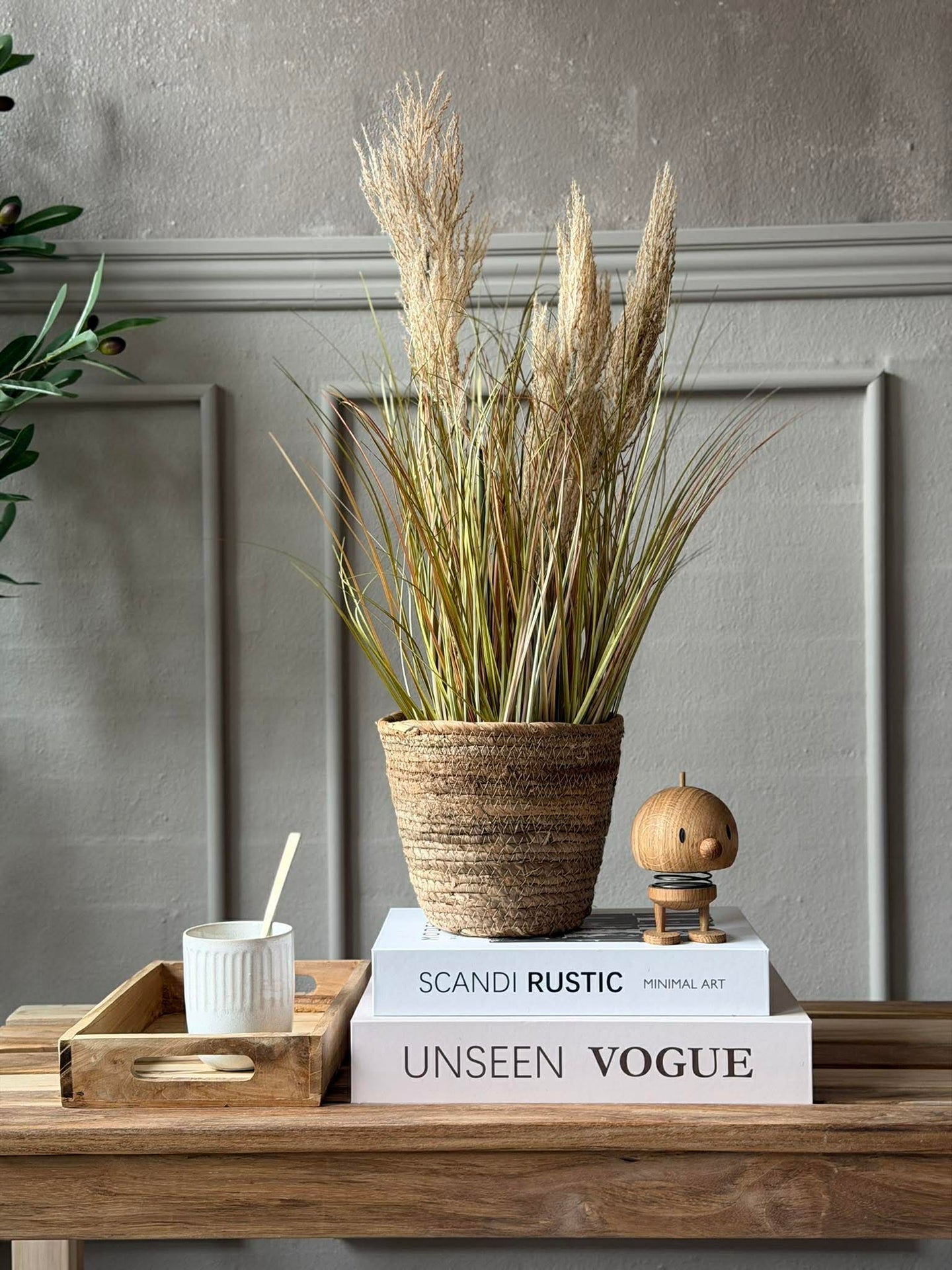 Pampas im Topf für innen und außen - 60 cm