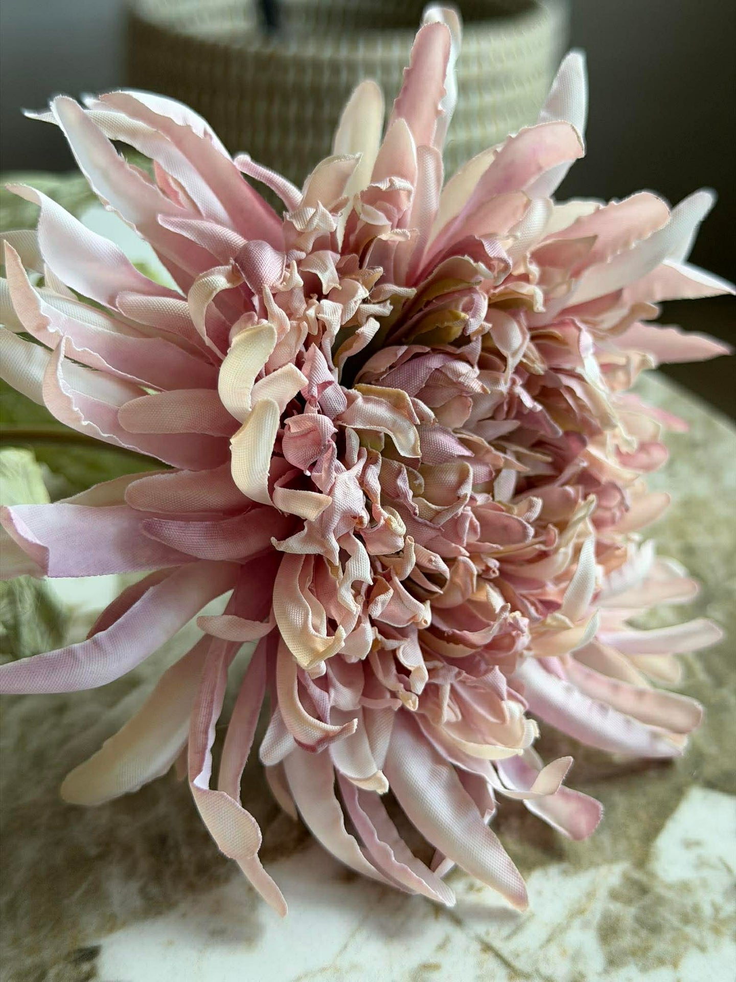Chrysanthemenstiel 17 cm - Rosa