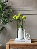 Blumenstiel mit mehreren Blüten - Lime