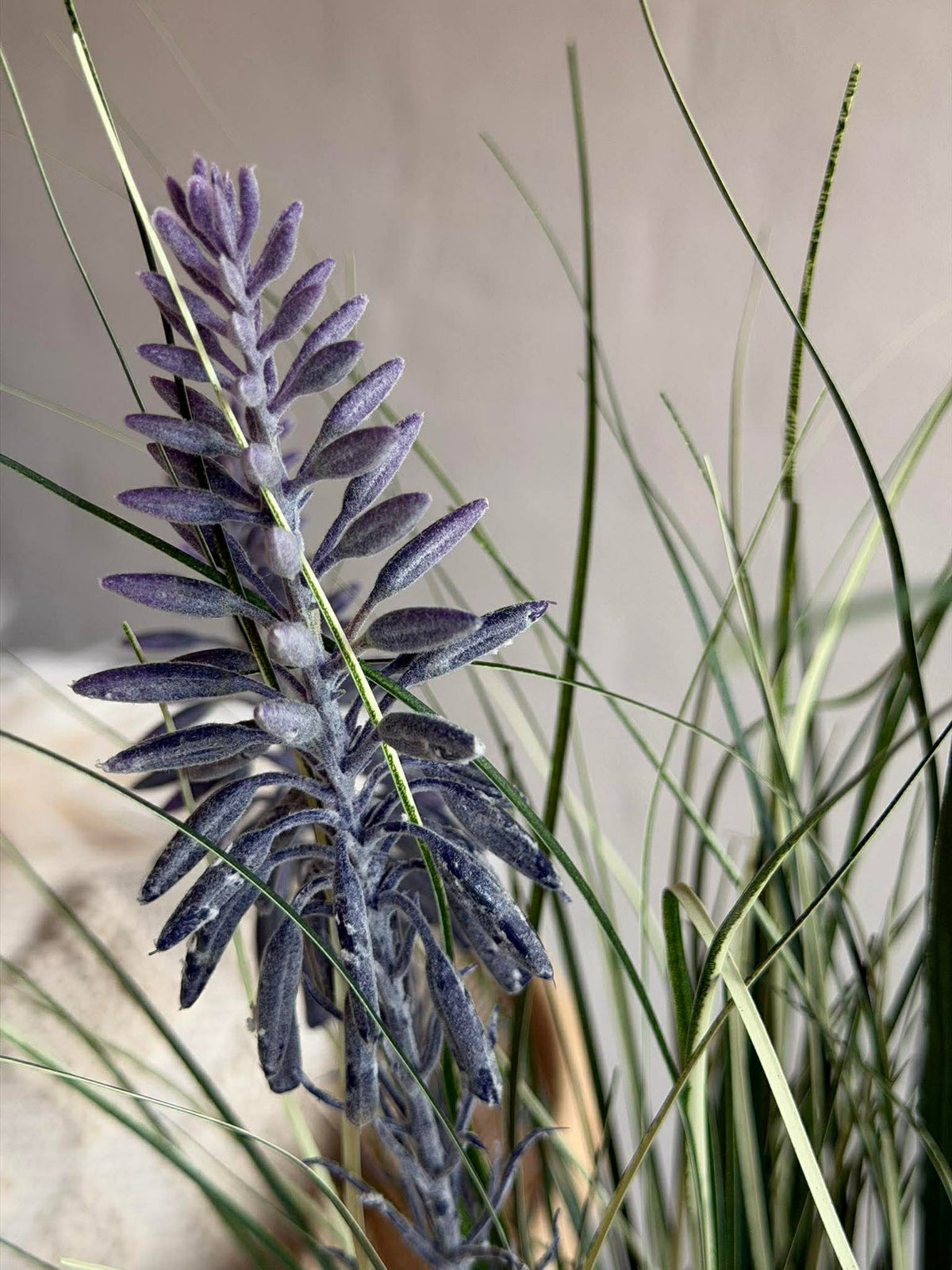 Lupine im Strauß für drinnen und draußen - 70 cm