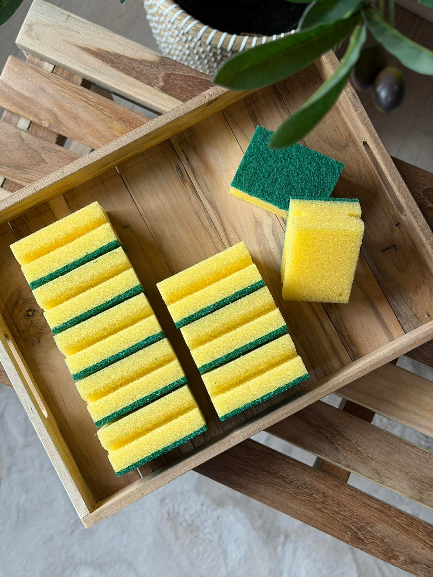 Scheuerschwämme - Set mit 10 Stück.
