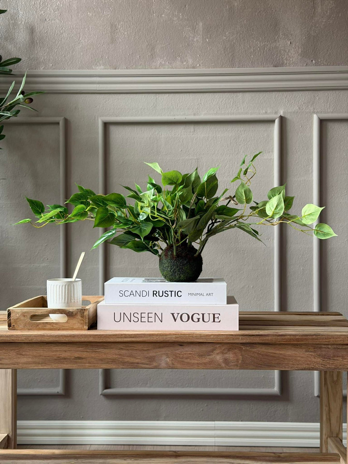 Hängepflanze Herz-Philodendron