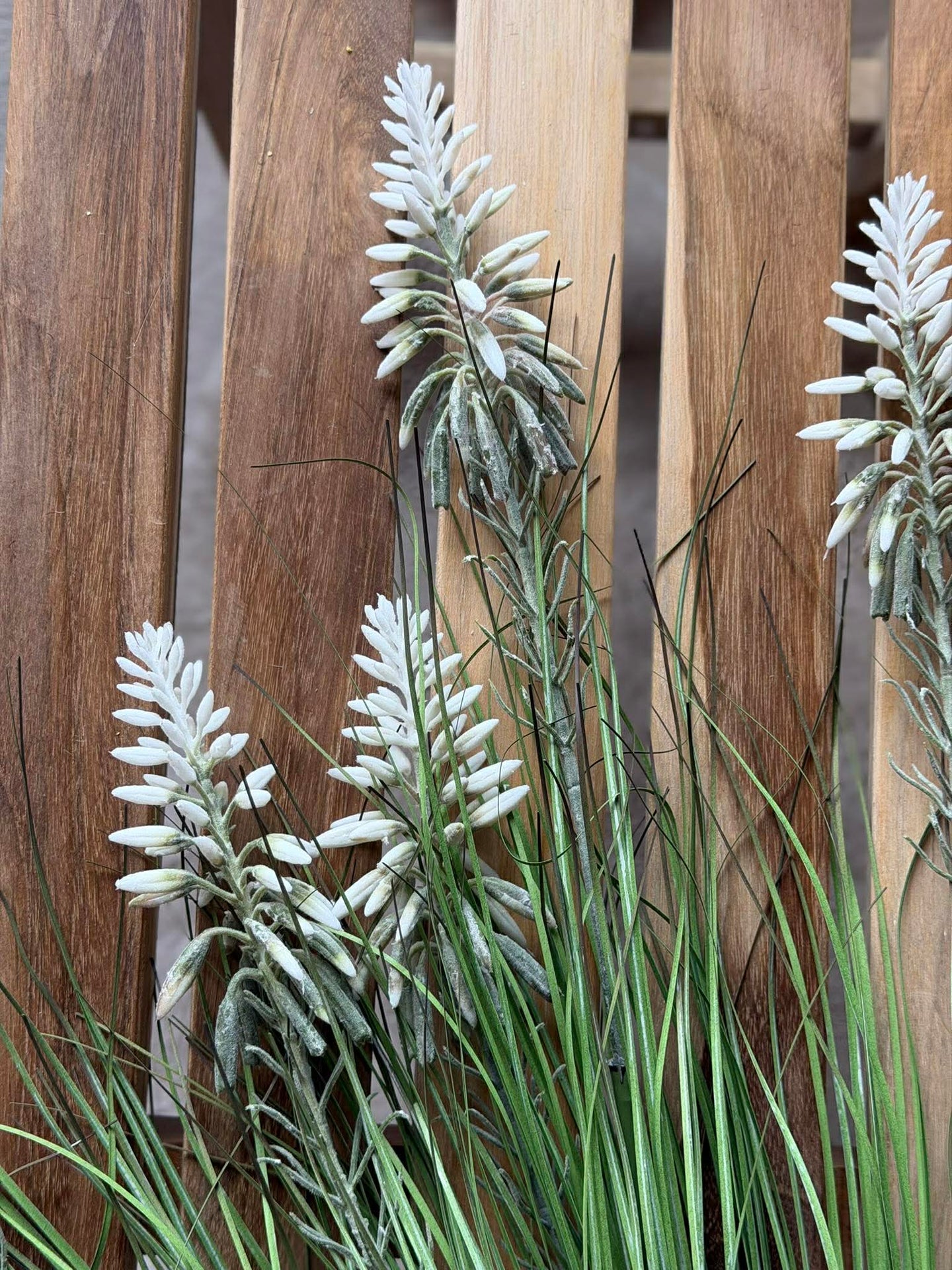 Weiße Lupine im Strauß für innen und außen - 70 cm