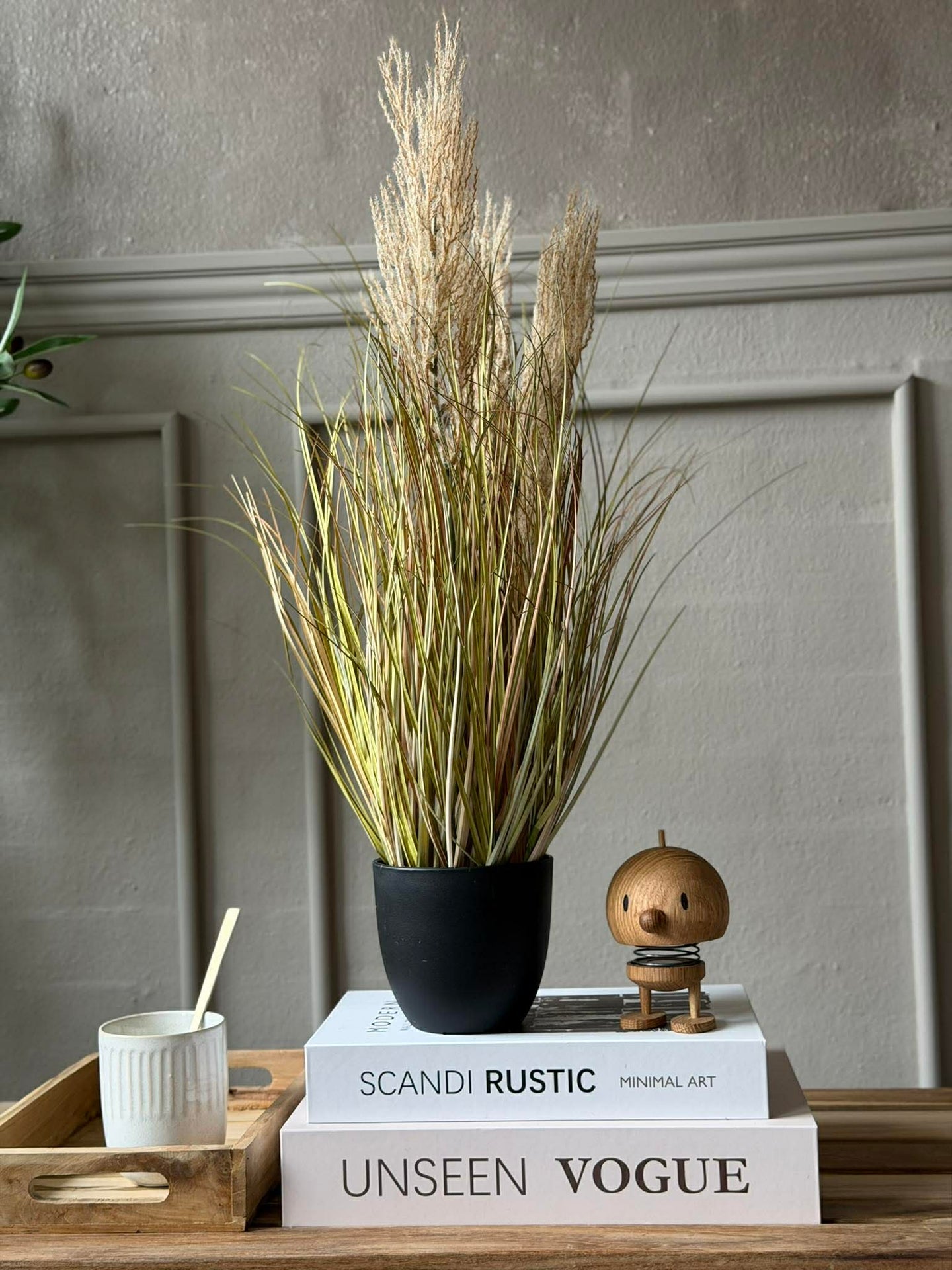 Pampas im Topf für innen und außen - 60 cm