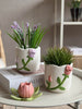 Übertopf mit Rosen - Mehrere Farben
