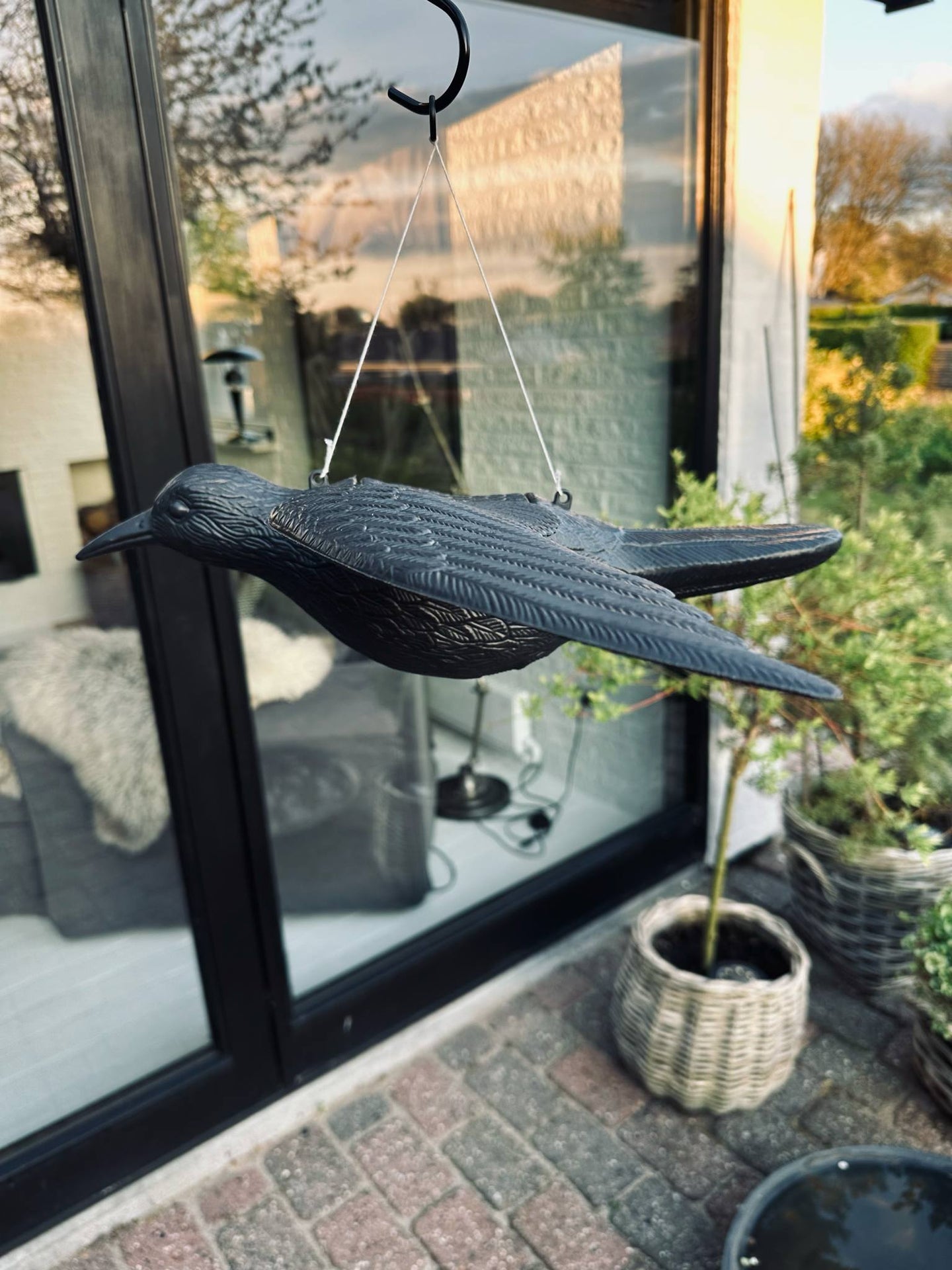 Vogel - RAVEN BLACK