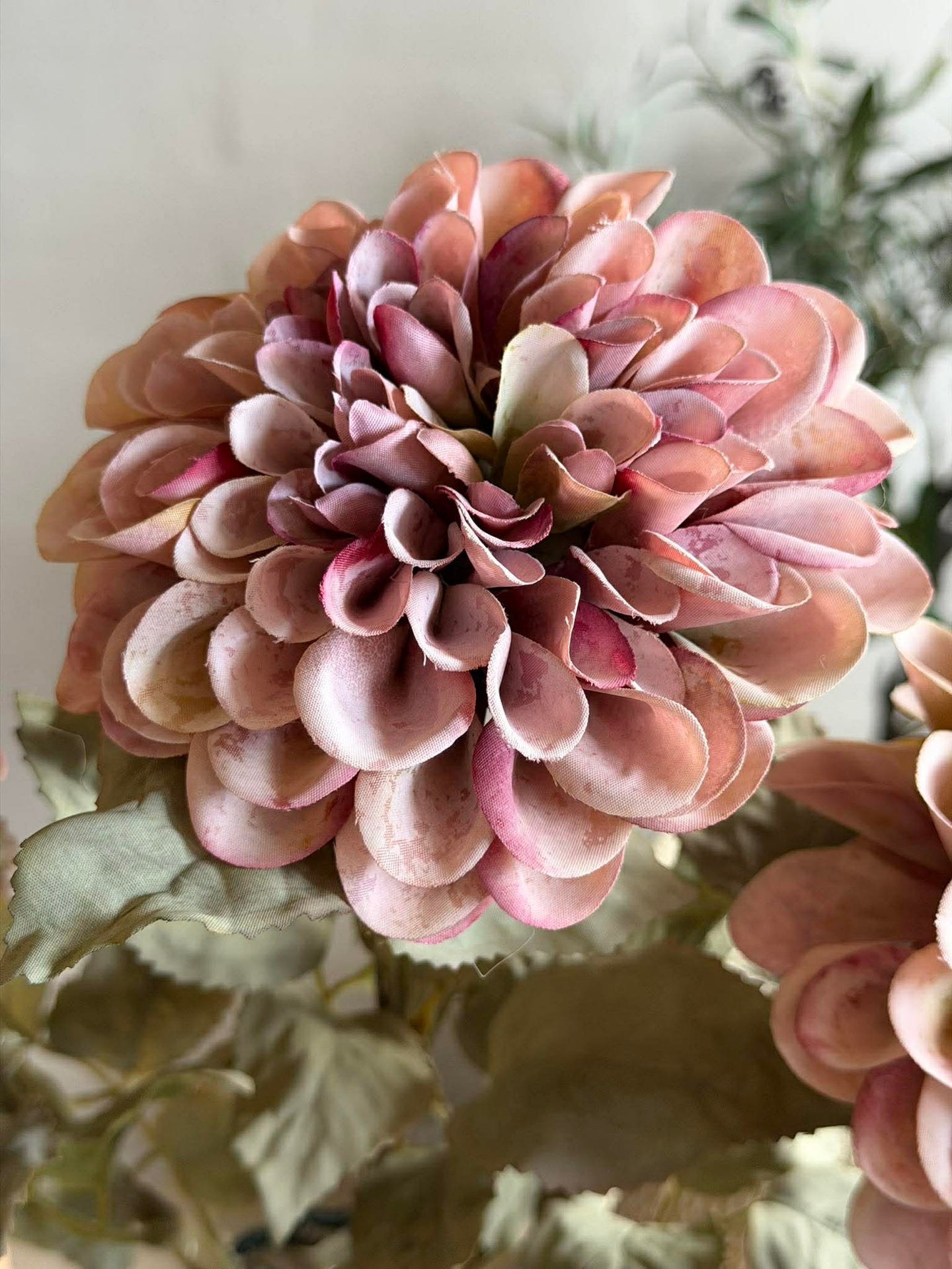 Blume Dahlie 64 cm - Pink