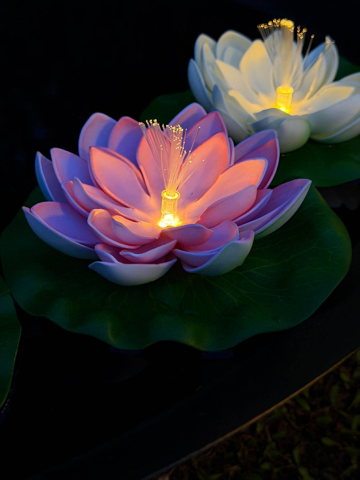 Lotus mit Solar - Verschiedene Farben